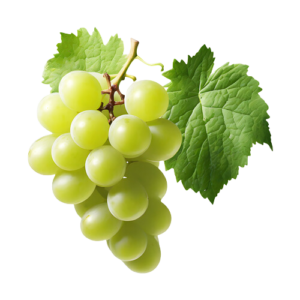 Grapes