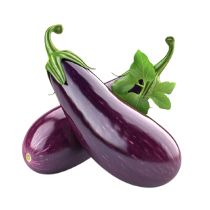 Brinjal