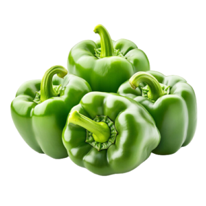 Capsicum