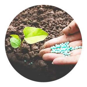 Bio Fertilizers