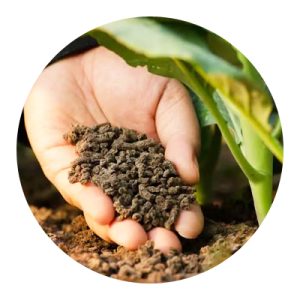 Organic Fertilizer