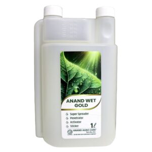 Anand Wet Gold