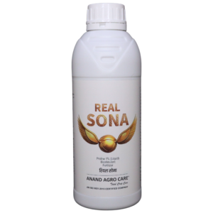 Real sona