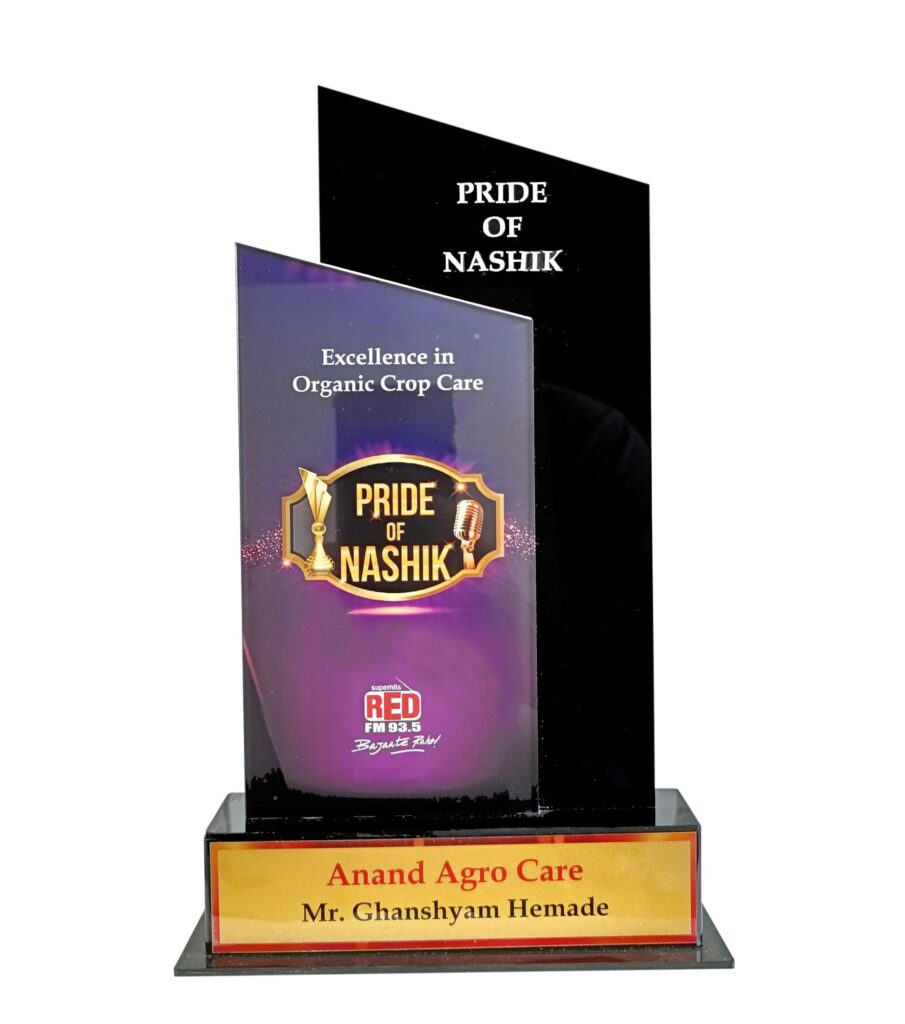 award-4-2-scaled-1
